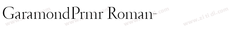 GaramondPrmr Roman字体转换